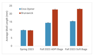 Average shell length (mm) of quahogs grown at Eros Oyster and in Brunswick. Shell lengths were measured in the spring and fall of 2023 from both ADPI and soft bags. There was significant growth across gear types (Eros = 5.01mm, Brunswick = 13.16mm). By fall, average shell length at Eros was 14.9 ± 0.15 mm and quahogs were left in bags to overwinter. In 
Brunswick, average shell length was 22.9 ± 0.18mm, big enough to withstand most green crab predation and clams were spread on flats identified for wild shellfish stock enhancement. 